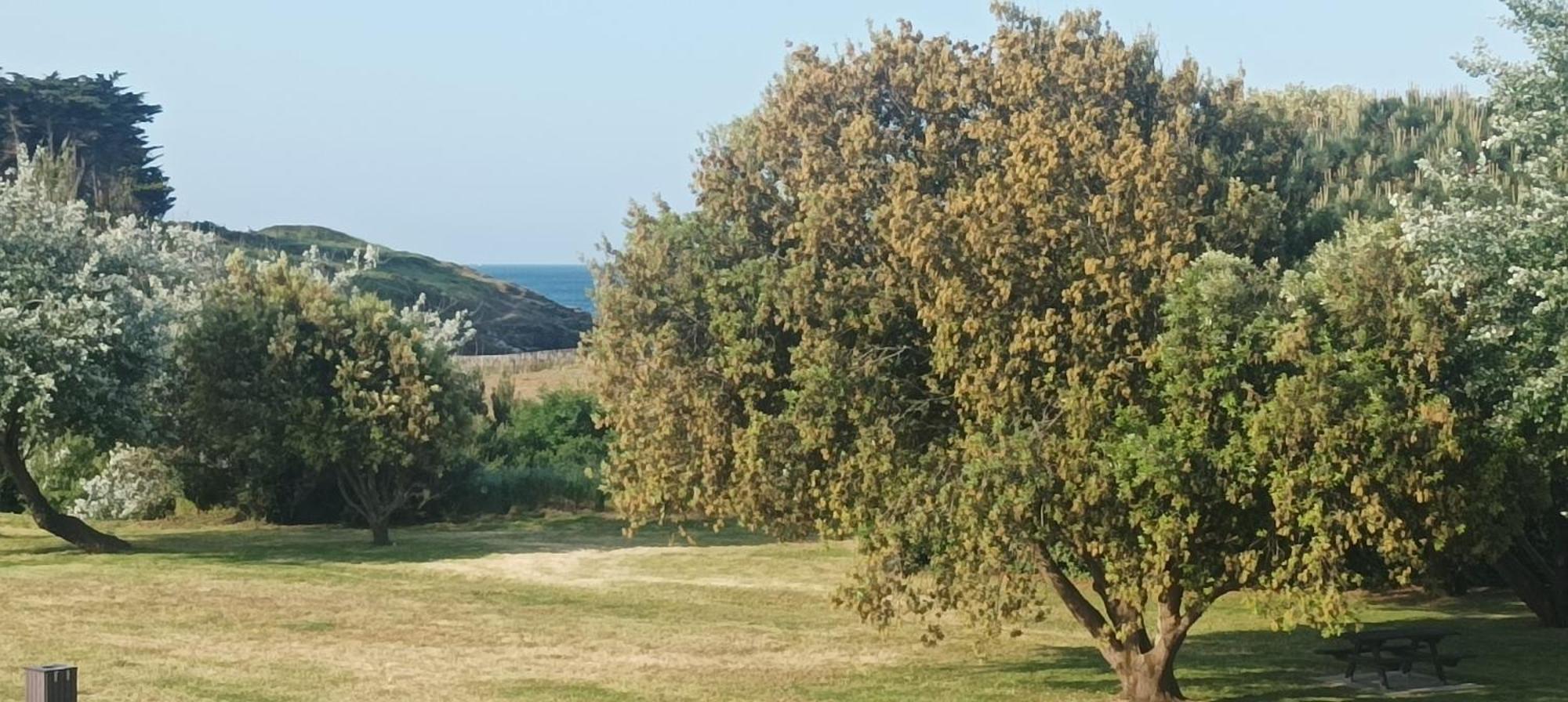 Appartement Vue Mer Exceptionnelle A 100M Tres Belle Plage Saint-Gildas-de-Rhuys Exterior photo